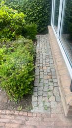 Mooie ouderwetse klinkers te koop, Tuin en Terras, Tegels en Klinkers, Ophalen, Beton, 5 tot 10 m², Klinkers