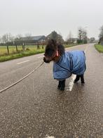 Veulendekentje, Dieren en Toebehoren, Paarden en Pony's | Dekens en Dekjes, Ophalen of Verzenden, Zo goed als nieuw, Deken