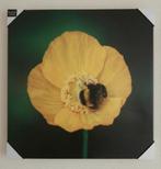 Schilderij bloem, Ophalen, Nieuw, Schilderij, 75 tot 100 cm