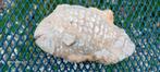 Stenen Fossiele Vis ,lengte 17cm ., Verzamelen, Mineralen en Fossielen, Ophalen