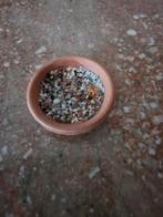 poppenhuis miniaturen terra cottage schaal met vogelvoer, Ophalen of Verzenden, Nieuw, Poppenhuis