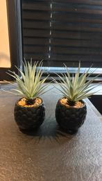 2 kunstplantjes in mat zwarte pot 15 cm hoog new, Ophalen of Verzenden, Zo goed als nieuw