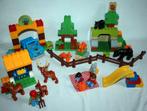 Duplo het grote bos set 10584 compleet + boekje, Kinderen en Baby's, Speelgoed | Duplo en Lego, Ophalen of Verzenden, Gebruikt