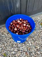 GRATIS 10 kg wilde kastanjes, Ophalen