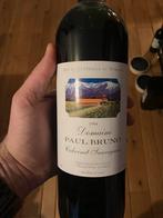 Vina Aquitania Domaine Paul Bruno 1994, Verzamelen, Wijnen, Nieuw, Rode wijn, Vol, Zuid-Amerika