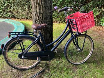 Cortina 24 inch
