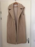 River island bodywarmer maat M (valt groot), Kleding | Dames, Ophalen of Verzenden, Zo goed als nieuw