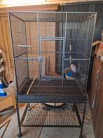 grote parkieten kooi, Ophalen of Verzenden, Zo goed als nieuw, Metaal, Vogelkooi