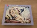 Heye puzzel 1000 stukjes, Ophalen of Verzenden, 500 t/m 1500 stukjes, Zo goed als nieuw, Legpuzzel