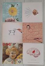 IXXI Wanddecoratie - Nieuw & Compleet, Huis en Inrichting, Ophalen of Verzenden