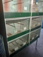 10 x 2 delige kunststof Heesakkers broedkooien, Dieren en Toebehoren, Ophalen, Gebruikt, Kunststof, Broedkooi of Kweekkooi