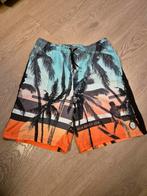 Zwembroek maat 170/176, Kinderen en Baby's, Kinderkleding | Kinder-zwemkleding, Ophalen of Verzenden, Zo goed als nieuw, Maat 158