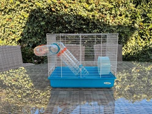 Hok voor kleine knaagdieren, Dieren en Toebehoren, Knaagdieren en Konijnen | Hokken en Kooien, Gebruikt, Hok, Minder dan 60 cm