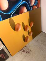Grote platen met foto’s van eieren - 8 stuks, Minder dan 50 cm, Zo goed als nieuw, Ophalen
