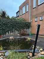 Vijverbak compleet, Ophalen, Gebruikt