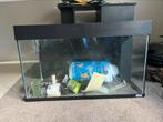 Juwel aquarium 80 bij 35 bij 50 incl. toebehoren, Dieren en Toebehoren, Vissen | Aquaria en Toebehoren, Ophalen, Gebruikt, Leeg aquarium