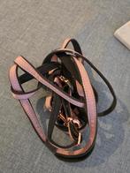 Tuigje kat, Ophalen, Nieuw