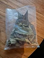 Bladeren/takken, Ophalen of Verzenden