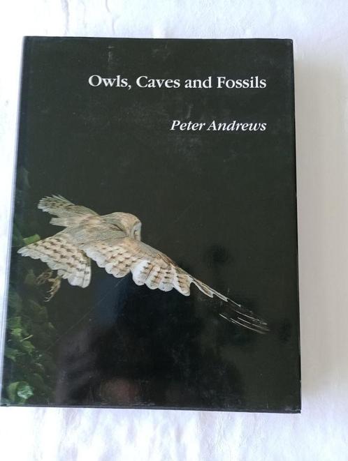 OWLS, CAVES AND FOSSILS small mammal taphonomy Andrews, Boeken, Wetenschap, Zo goed als nieuw, Overige wetenschappen, Verzenden