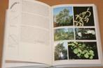De Bomengids van Europa - ruim 400 kleurenfoto's, Boeken, Natuur, Ophalen of Verzenden, Zo goed als nieuw, Vogels