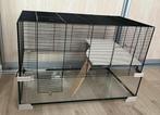 Hamsterkooi met assesoires. Afm; 45, 40 bij 75 cm., Dieren en Toebehoren, Kooi, Minder dan 75 cm, Zo goed als nieuw, Hamster