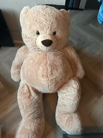 Grote teddy beer beschikbaar voor biedingen
