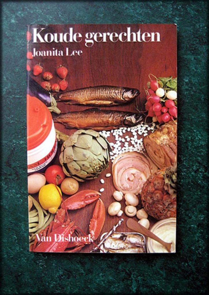 KOUDE GERECHTEN - Joanita Lee Dishoeck, Boeken, Kookboeken, Zo goed als nieuw, Azië en Oosters, Verzenden