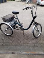 Van Raam Maxi 2 Driewielfiets met elektrische ondersteuning., Ophalen, Gebruikt, Van Raam