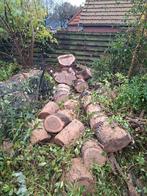 Grote partij Eikenhout - Meubelhout/Brandhout, Tuin en Terras, Haardhout, Minder dan 3 m³, Ophalen, Eikenhout, Blokken