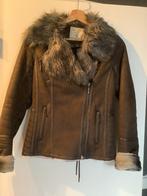 Guess lammy maat xs nieuw, Ophalen of Verzenden, Zo goed als nieuw, Maat 34 (XS) of kleiner, Bruin