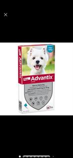 Advantix vlooiendruppels 4-10 kg, Dieren en Toebehoren, Ophalen of Verzenden, Hond