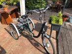 Van Raam maxi 2 electrische driewieler, Ophalen of Verzenden, Gebruikt, Van Raam