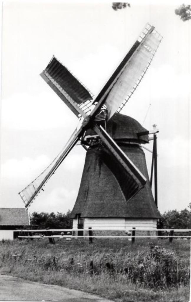 (NH011) Ansichtkaart Akersloot molen De Oude Knegt 1981, Verzamelen, Ansichtkaarten | Nederland, Ongelopen, Noord-Holland, 1980 tot heden