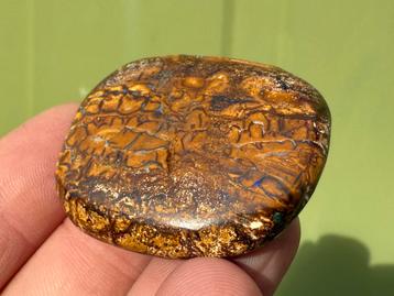 Boulder Opaal handsteen palmsteen mineralen beschikbaar voor biedingen
