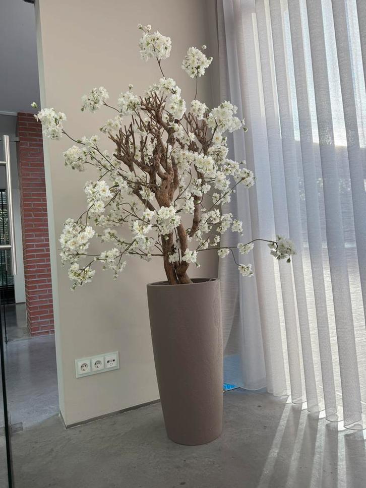 Prachtige decoratieve bloesemboom in hoge vaas, Huis en Inrichting, Woonaccessoires | Zuilen en Pilaren, Zo goed als nieuw, Ophalen of Verzenden