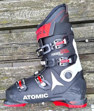 Ski schoenen beschikbaar voor biedingen