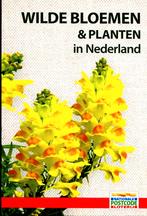 Wilde Bloemen & Planten in Nederland, Ophalen of Verzenden, Nieuw, Bloemen, Planten en Bomen