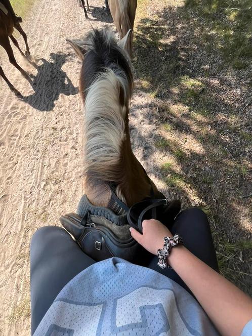 Bijrijder, verzorgster aangeboden!!!!, Dieren en Toebehoren, Paarden en Pony's | Verzorgingsproducten, Zo goed als nieuw, Ophalen of Verzenden