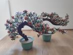 Bieden - Set van 2 Chinese jade bonsai bomen, handgemaakt!, Ophalen