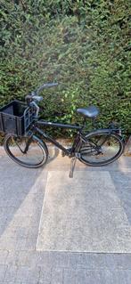 Giant Triple X maat L, Fietsen en Brommers, Fietsen | Heren | Herenfietsen, Ophalen, Gebruikt, Giant, Versnellingen