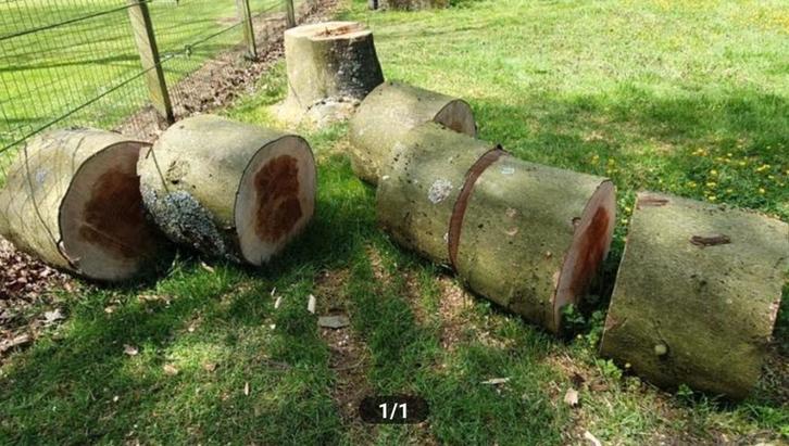 Beuken hakblok , kloofblok , boomstam , spijkerblok, Tuin en Terras, Haardhout, Stammen, Beukenhout, Minder dan 3 m³, Ophalen