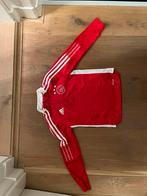 Ajax trainingshirt, Gebruikt, Ophalen of Verzenden