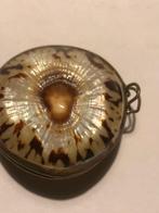 Sieradendoosje echte schelp messing frame Victoriaanse stijl, Ophalen of Verzenden