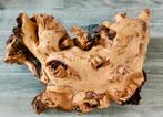 NIEUW GROOT STUK HOUT 50X26, Ophalen, Nieuw, Tak, Plant, Rots of Steen