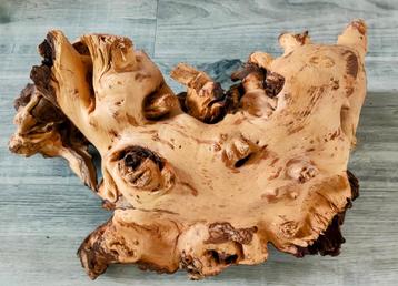 NIEUW GROOT STUK HOUT 50X26 beschikbaar voor biedingen