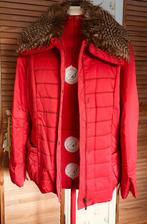 Rood met polyester gevoerde kort winterjas maat 46 NIEUW, Ophalen of Verzenden, Nieuw, Maat 46/48 (XL) of groter, Rood