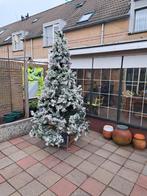 Kerst, Tuin en Terras, Planten | Bomen, Ophalen, Volle zon, Overige soorten