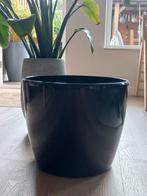 Intratuin zwarte bloempot, Ophalen, Zo goed als nieuw, Rond, 25 tot 40 cm