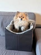 Autostoel kleine hond, Ophalen of Verzenden, Zo goed als nieuw