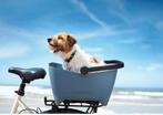 Basil Buddy honden fietsmand met mik systeem, Fietsen en Brommers, Fietsaccessoires | Fietsmanden, Ophalen, Gebruikt, Fietsmand